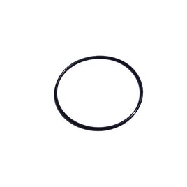 O-Ring-Dichtung groß (Ø 79 mm)