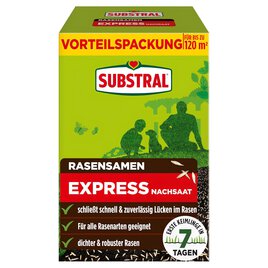 Express Nachsaat Rasensamen 2,4 kg