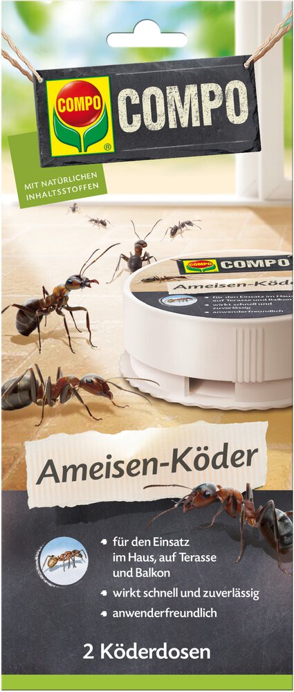 geldbaum knstlich Kunstpflanzen | Knstlicher Geldbaum - Richie, 60 cm | Wie echt