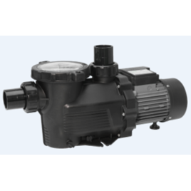 Schwimmbadfilterpumpe 