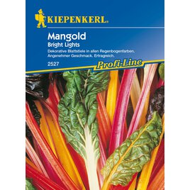 Gemüsesamen Mangold Bright Lights