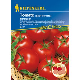 Gemüsesamen Tomate Harzfeuer