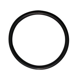 O-Ring für Diffuser