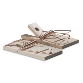 2 Mausefallen aus Holz